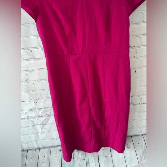 The Limited Dark Pink Sleeveless dress size 10 - Picture 6 of 14